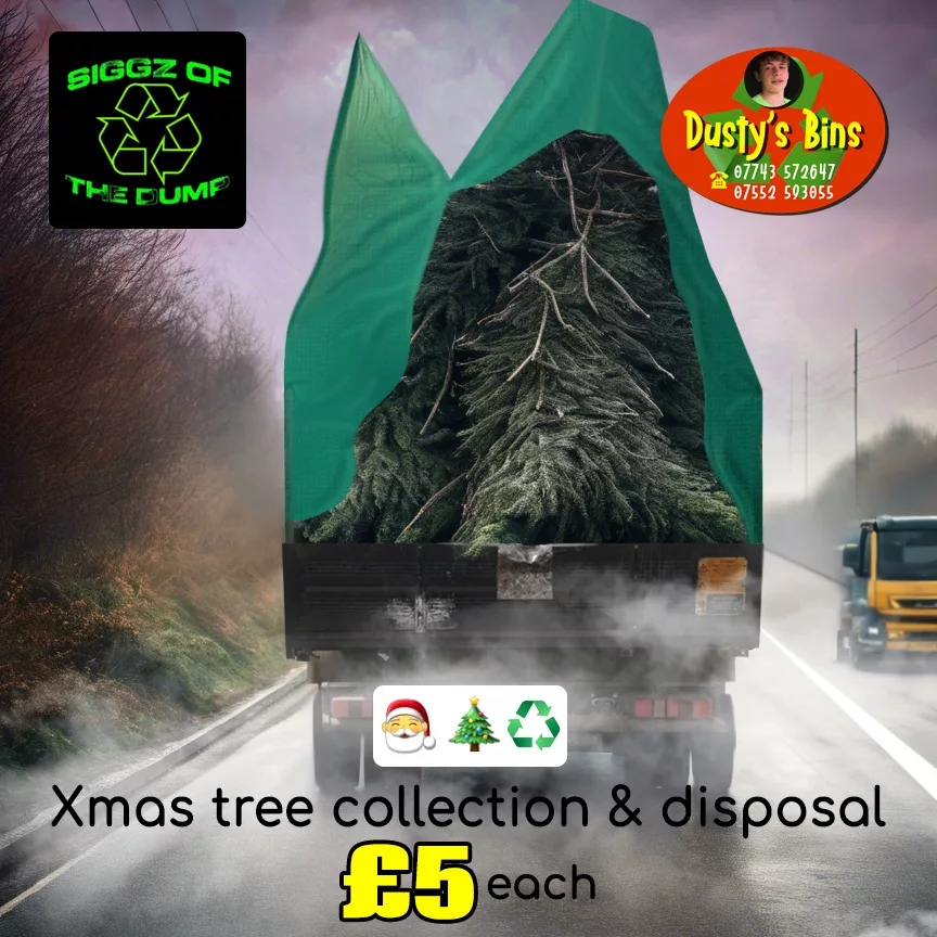 Rubbish Clearance & Waste Disposal Bristol Siggz of the Dump